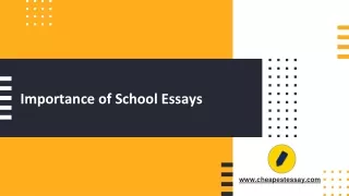 Importance of School Essays