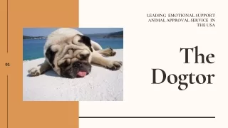 Emotional Support Animal Letter - The Dogtor