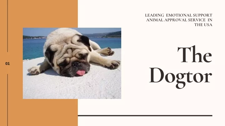 leading emotional support animal approval service
