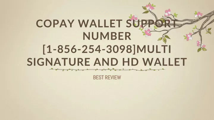 copay wallet support number 1 856 254 3098 multi signature and hd wallet
