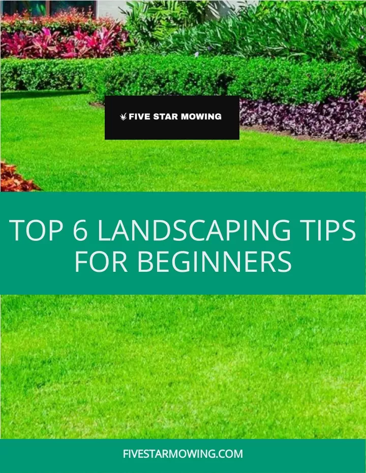 top 6 landscaping tips for beginners