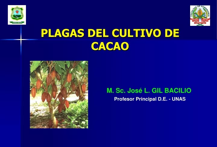 plagas del cultivo de cacao