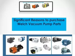 Significant Reasons to purchase Welch Vacuum Pump Parts