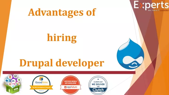 advantages of hiring drupal developer