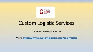 custom logistic services