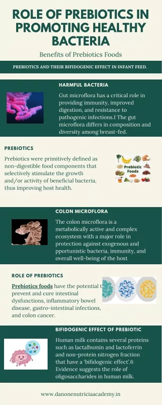 Role Of Prebiotics In Promoting Healthy Bacteria