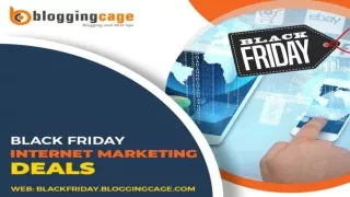 Black Friday Web Hosting Deals& Black Friday WordPress Hosting Deals for Marketers