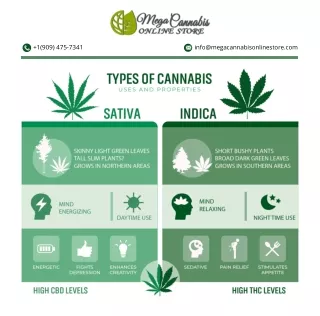 The Only Mega Cannabis Online Store Resources You Will Ever Need
