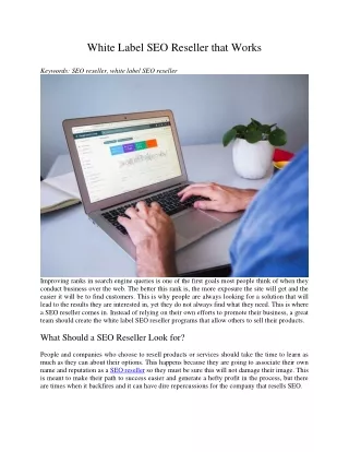 white label seo reseller that works