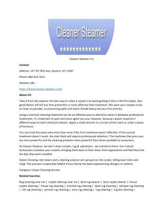 Cleaner Steamer inc.