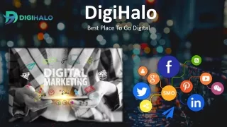 DigiHalo Best Digital Marketing Company In India