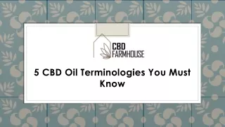 5 CBD Oil Terminologies You Must Know