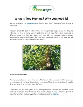 What is tree pruning? Why you need it?