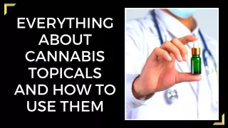 Everything About Cannabis Topicals And How to Use Them