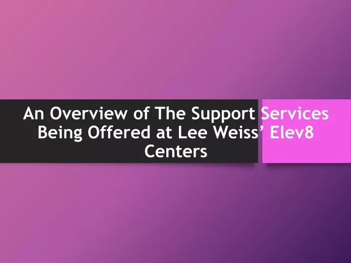 an overview of the support services being offered at lee weiss elev8 centers