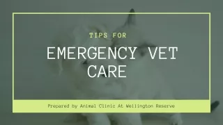 Signs Your Pet Needs Immediate Veterinary Care