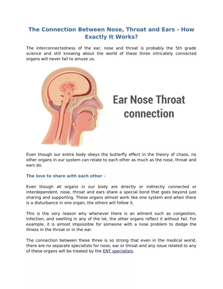 the connection between nose throat and ears
