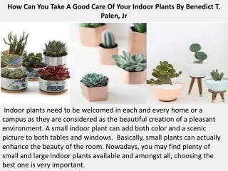 how can you take a good care of your indoor plants by benedict t palen jr