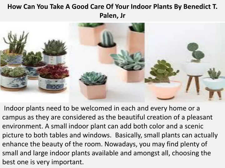 how can you take a good care of your indoor plants by benedict t palen jr