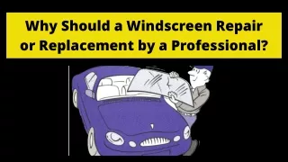 Why Should a Windscreen Repair or Replacement by a Professional?