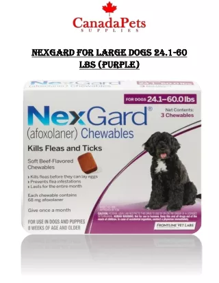 Nexgard Chewables for Large Dogs (Purple) - PDF - CanadaPetsSupplies.com