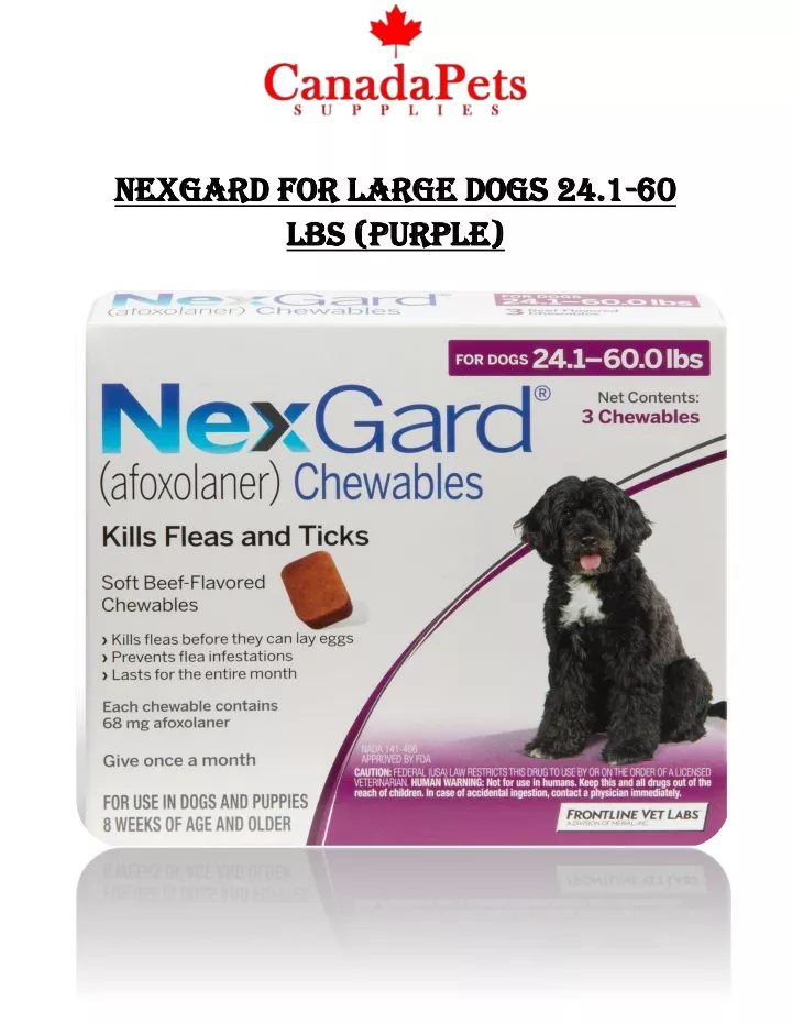 nexgard for large dogs 24 1 nexgard for large
