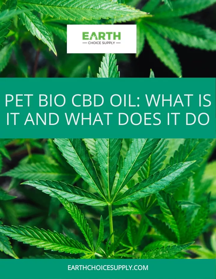 pet bio cbd oil what is it and what does it do