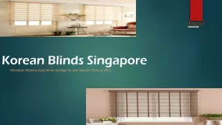 Affordable Korean Blinds for Window Decor