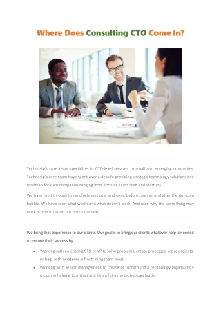 where does consulting cto come in