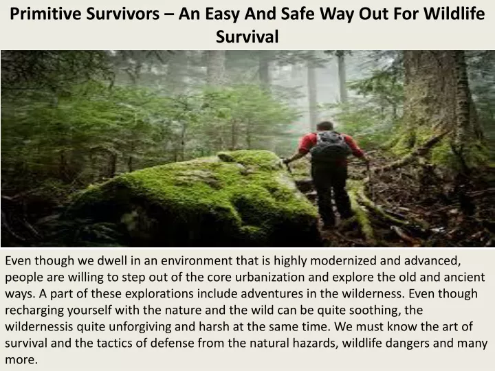 primitive survivors an easy and safe way out for wildlife survival
