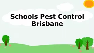 Schools Pest Control Brisbane