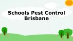 Schools Pest Control Brisbane - slide 1