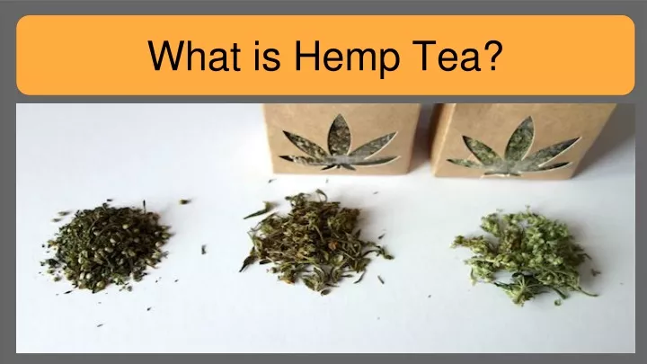 what is hemp tea
