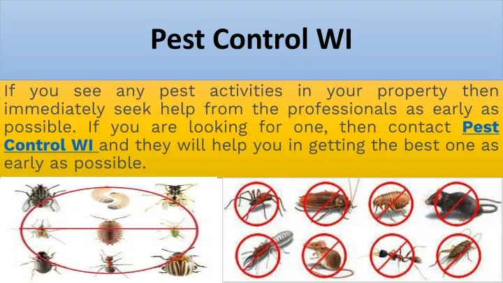 pest control wi