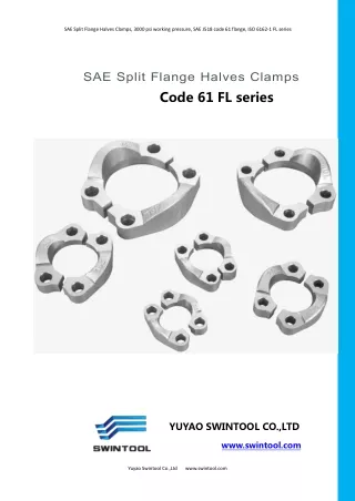 3. SAE SPLIT FLANGE CLAMPS code 61 FL series