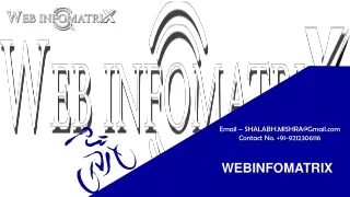 Web Infomatrix Services Web Designing and Development