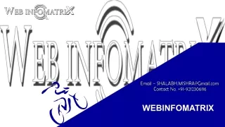 Web Infomatrix Services Web Designing and Development PDF