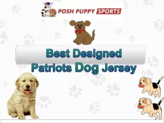 best designed patriots dog jersey