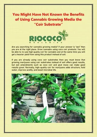 You Might Have Not Known the Benefits of Using Cannabis Growing Media the "Coir Substrate"