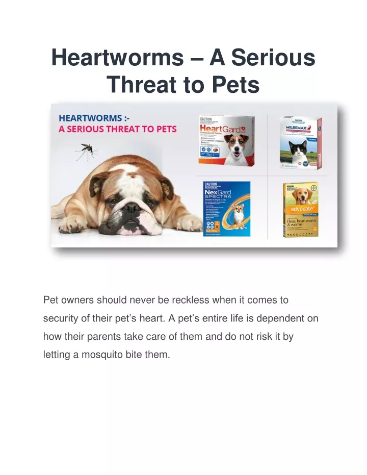 heartworms a serious threat to pets