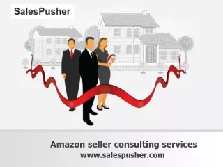 Best Amazon Seller Consulting Services - www.salespusher.com
