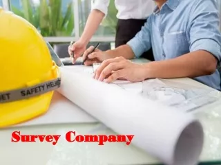 Survey Companies