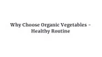 Why Choose Organic Vegetables - Healthy Routine - slide 1