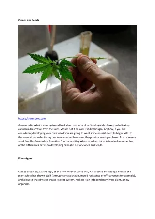 clones and seeds