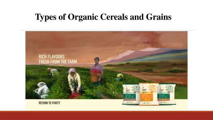 types of organic cereals and grains