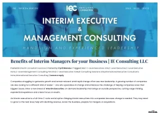 Benefits of Interim Managers for Your Business | IE Consulting LLC