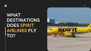 What destinations does Spirit Airlines fly to?