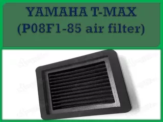 YAMAHA T-MAX (P08F1-85 air filter)