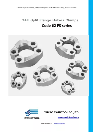 4. SPLIT FLANGE HALVES CLAMPS code 62 FS series