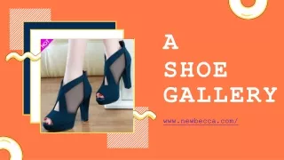 Cool Shoe Collection - Newbecca